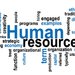 Elanor Solutions - Servicii salarizare, resurse umane